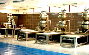Food Process Equipment
